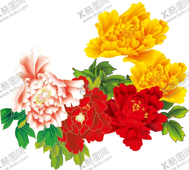 编号：80344410270301312312【酷图网】源文件下载-牡丹花