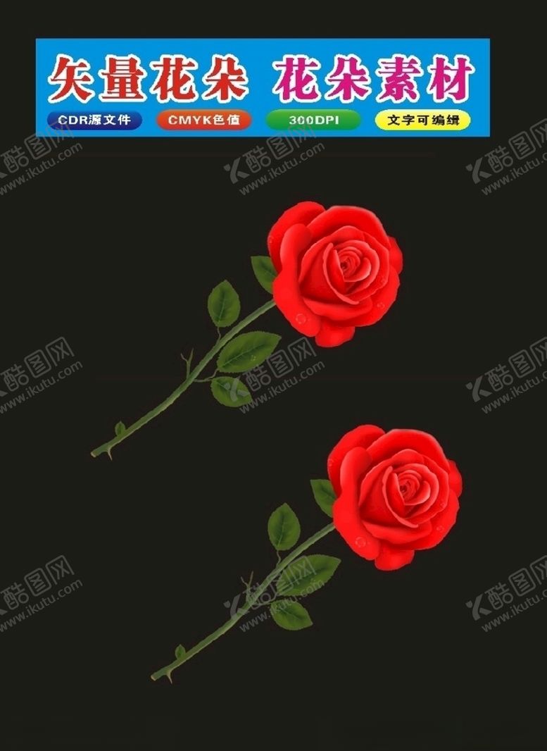 编号：89332809250214273988【酷图网】源文件下载-花植物花朵