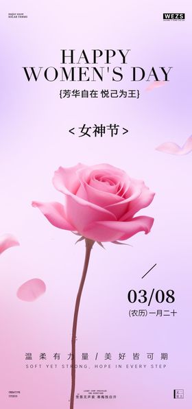 38妇女节女神节简约意境玫瑰花海报