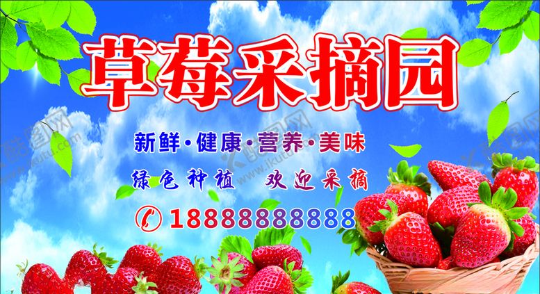 编号：48772410260209146575【酷图网】源文件下载-草莓采摘园