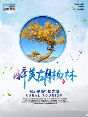 胡杨林
