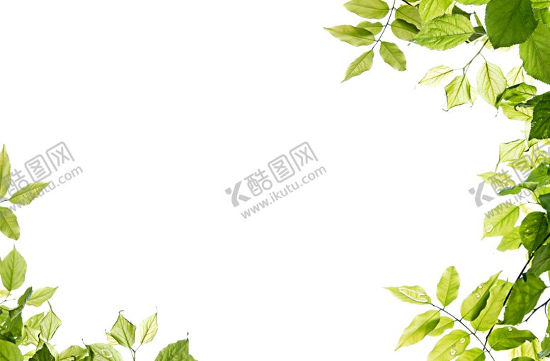 编号：35845906282055177774【酷图网】源文件下载-树叶
