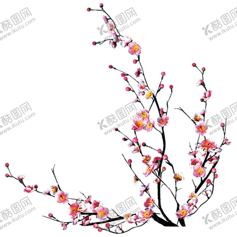编号：60254309250415451552【酷图网】源文件下载-梅花png