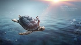 梦觉创意动物合成图片