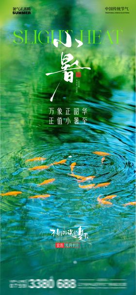 小暑节气金鱼池塘海报