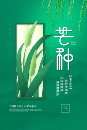 芒种素材传统海报
