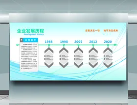 企业发展历程