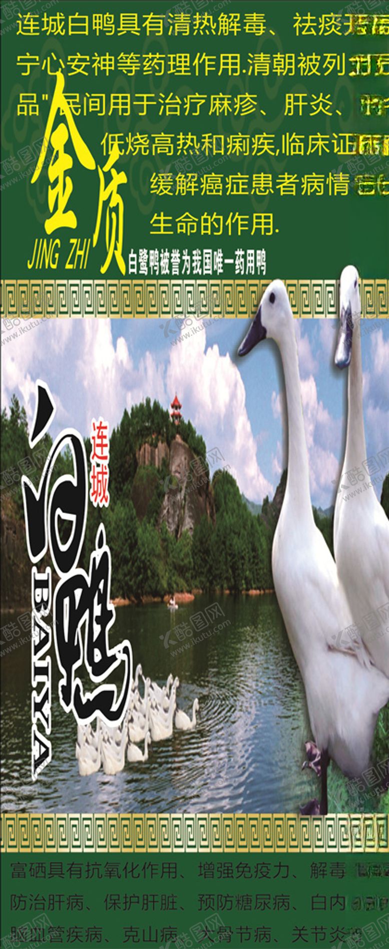 编号：82082409251522189958【酷图网】源文件下载-白鸭展架