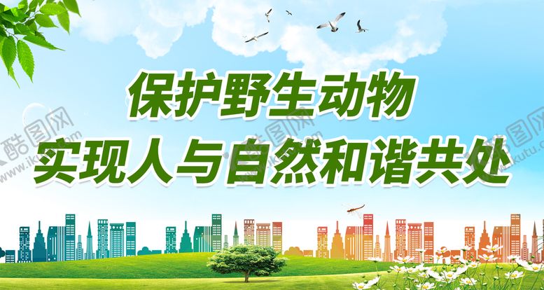 编号：78906109200936172546【酷图网】源文件下载-保护野生动物
