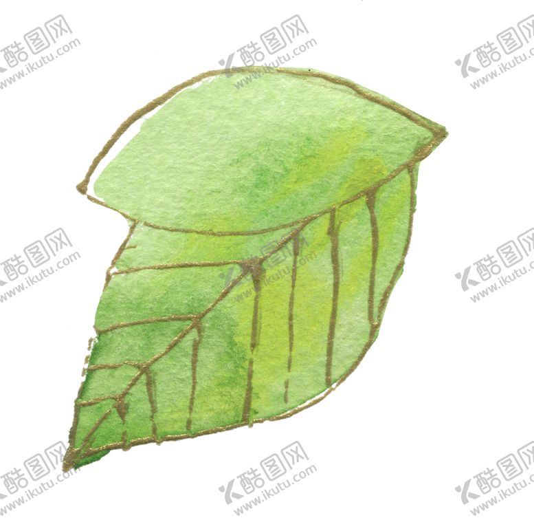 编号：47635302081902446474【酷图网】源文件下载-高清典雅花卉PNG素材系列