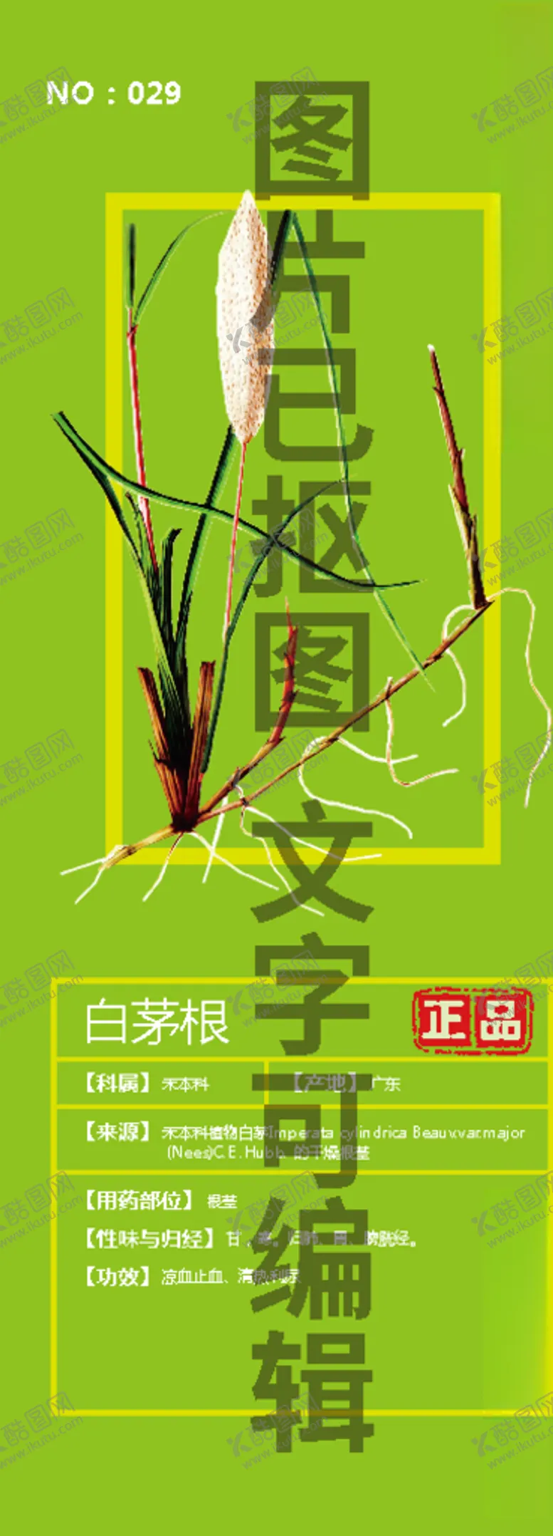 编号：23548204220348353161【酷图网】源文件下载-白茅根