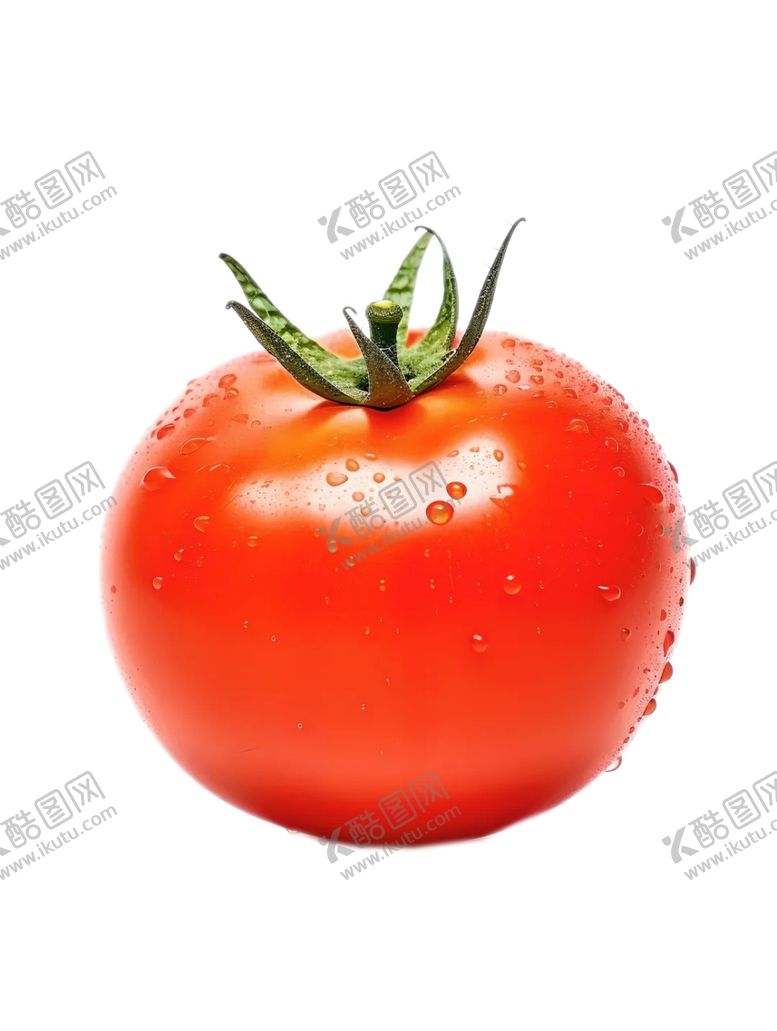编号：78854901260209443142【酷图网】源文件下载-番茄