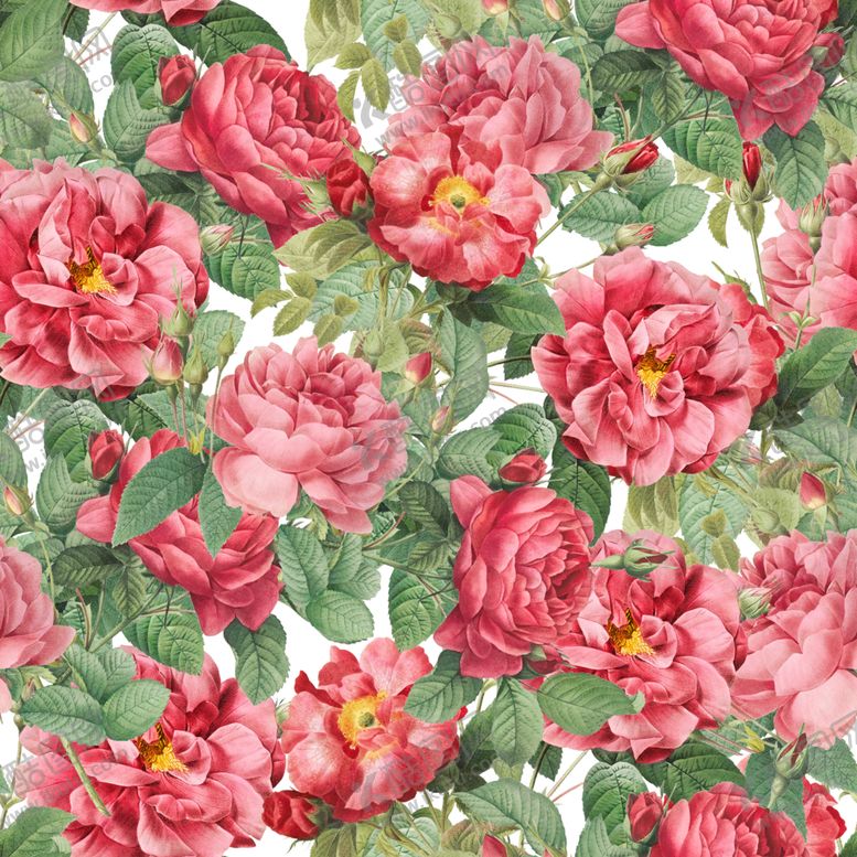 编号：16545610061613009979【酷图网】源文件下载-无缝花纹