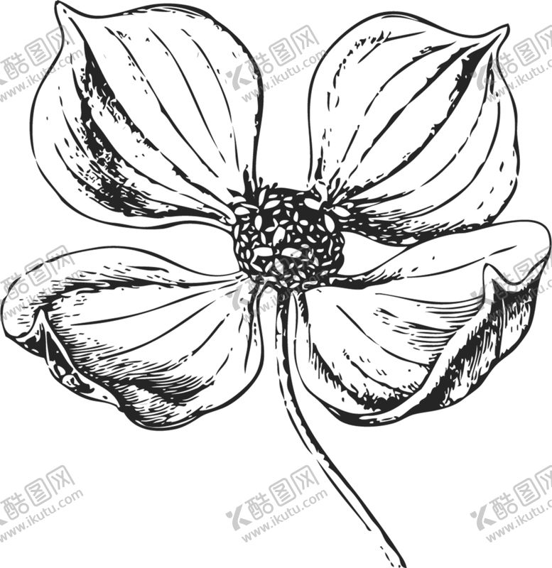 编号：30246109292151193697【酷图网】源文件下载-浪漫素材