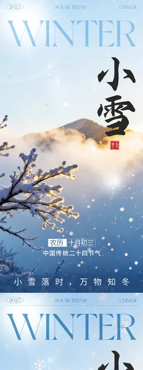 小雪简约海报