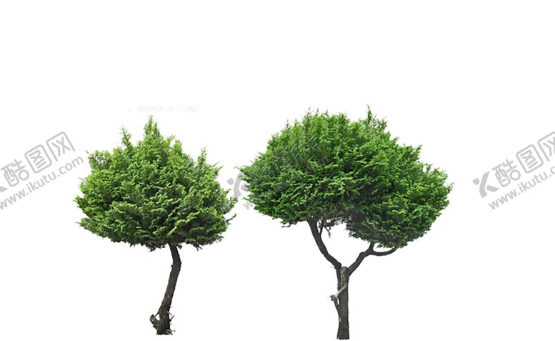 编号：98444210290820118440【酷图网】源文件下载-绿色装饰