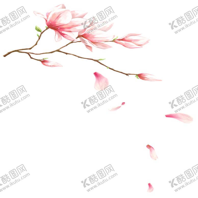 编号：94615010021044258339【酷图网】源文件下载-手绘植物花卉