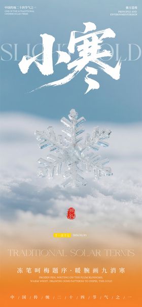 地产节气小寒冬天寒冷海报