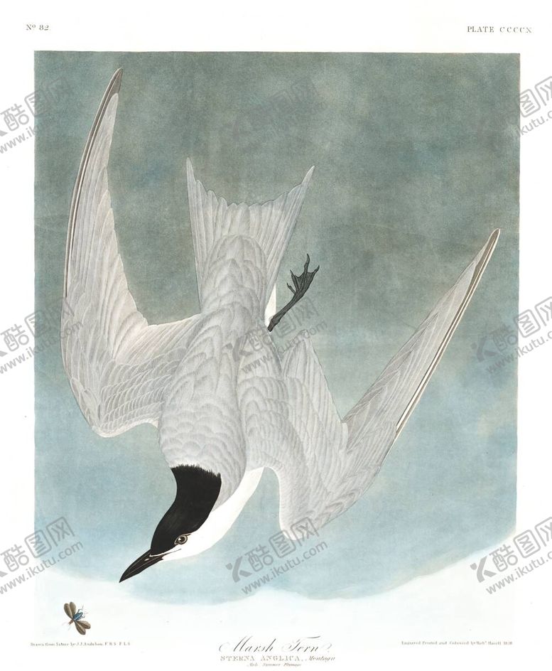 编号：19278212041329529267【酷图网】源文件下载-油画