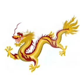 金龙免扣免扣纹图腾色