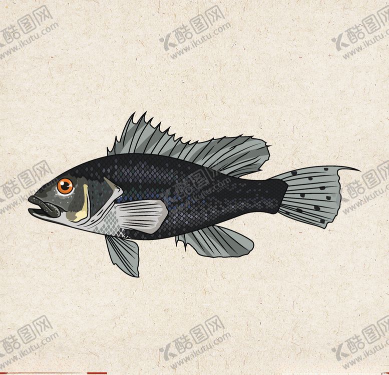 编号：60290810311515058798【酷图网】源文件下载-矢量动物矢量植物插画手绘