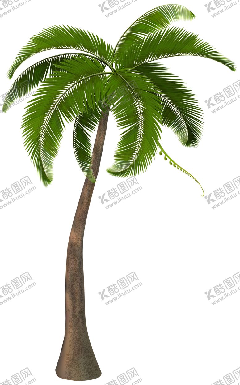 编号：78348110240057285758【酷图网】源文件下载-棕榈树