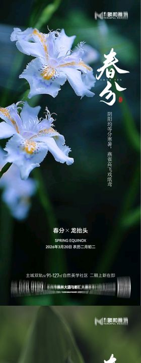 龙抬头春分节日节气海报春天