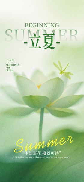 立夏时节荷花绽放图景