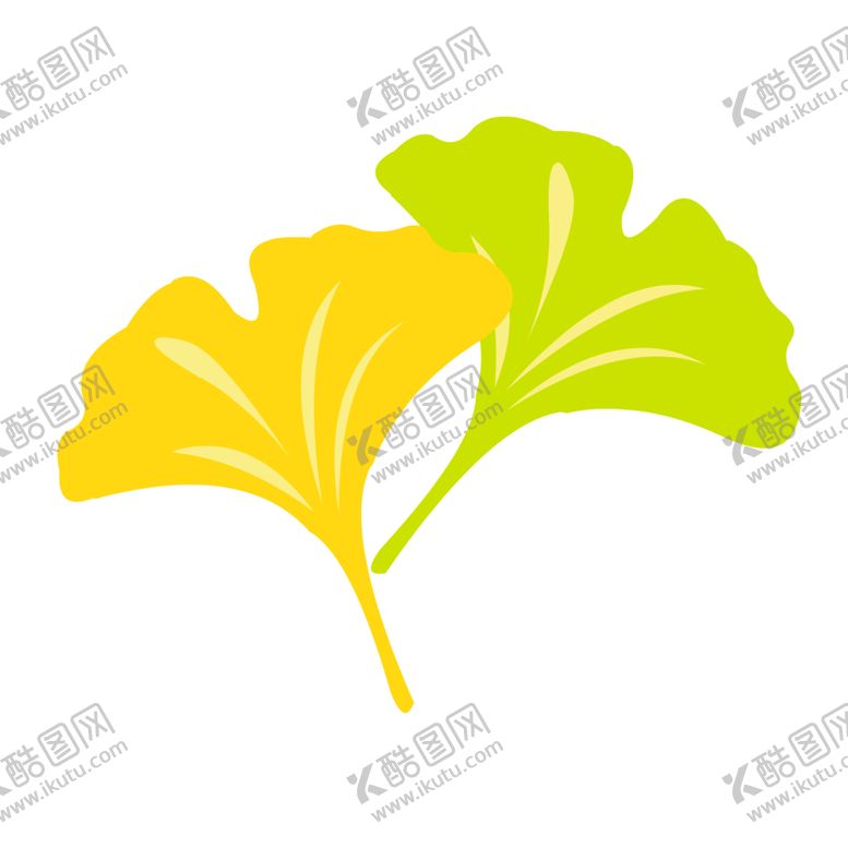 编号：30016704170750119013【酷图网】源文件下载-秋天银杏叶