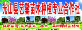 苗木招牌