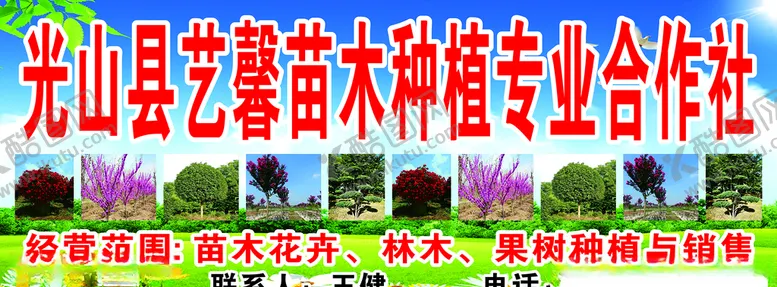 编号：49610006152302092517【酷图网】源文件下载-苗木招牌