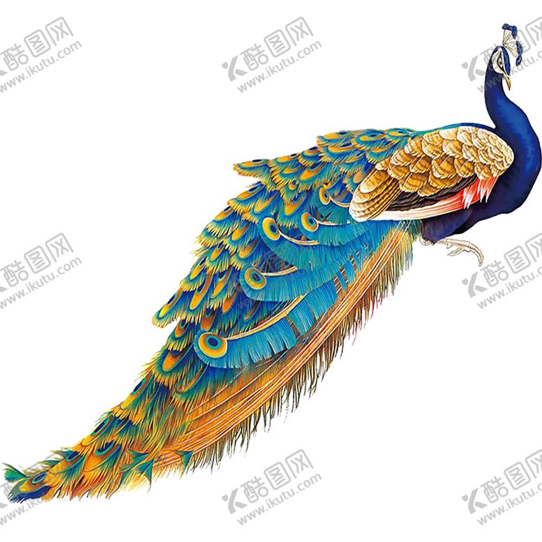 孔雀开屏时尚底纹背景