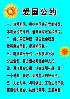 爱国公约