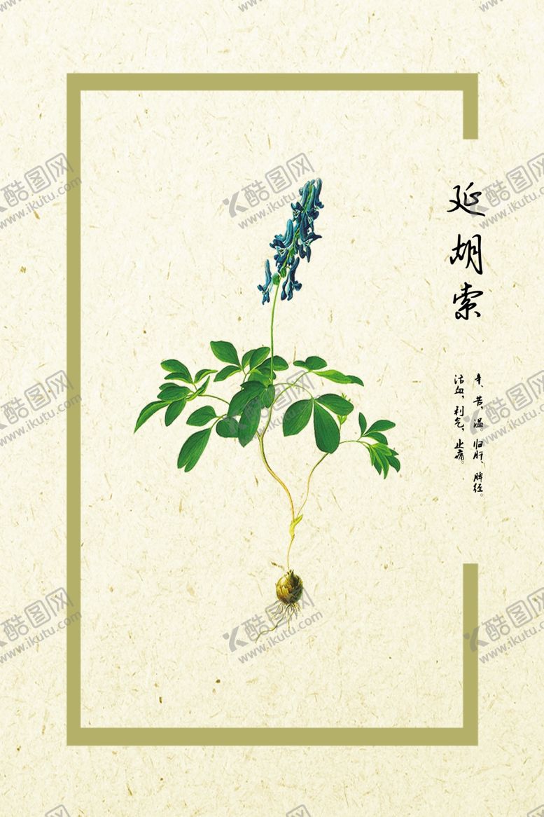 编号：26814609131651193016【酷图网】源文件下载-延胡索