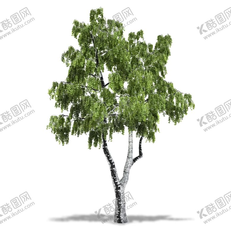 编号：62212309260821581898【酷图网】源文件下载-树木