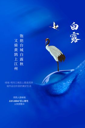 白露活动海报素材