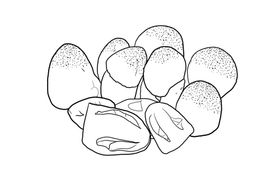 草菇