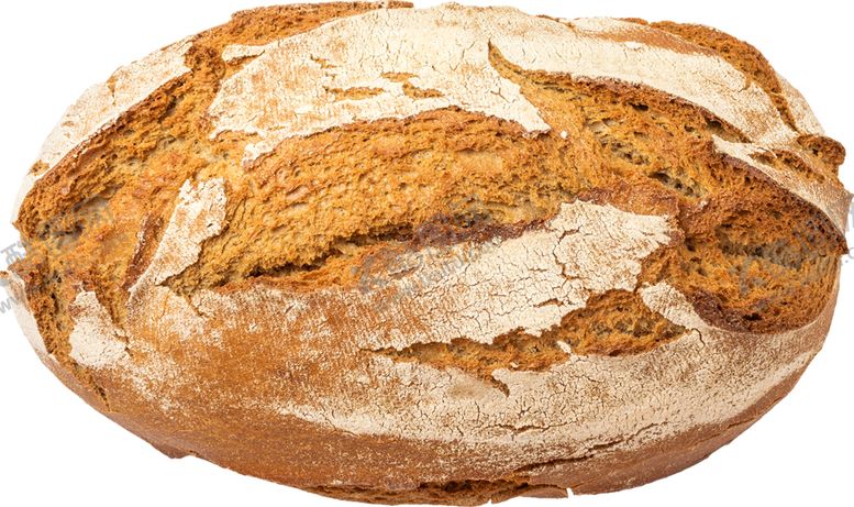 编号：40085209240610361740【酷图网】源文件下载-圆形面包