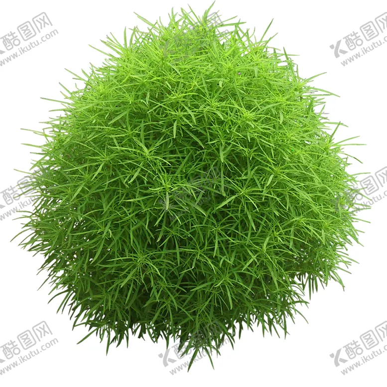 编号：26555306300743339730【酷图网】源文件下载-绿色植物