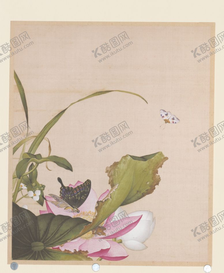 编号：55457709250007164821【酷图网】源文件下载-花鸟工笔装饰画