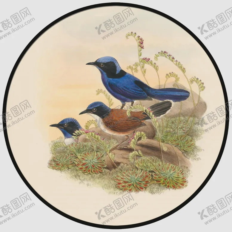 编号：46517403280017525647【酷图网】源文件下载-圆形装饰画圆形挂画圆形背景