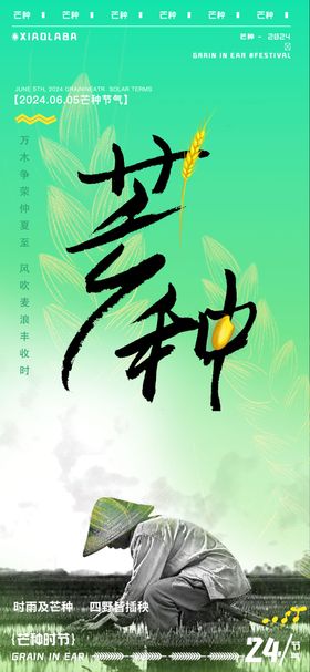 芒种节气农民海报