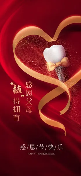浪漫心形丝带珠宝装饰