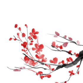 中国风水墨梅