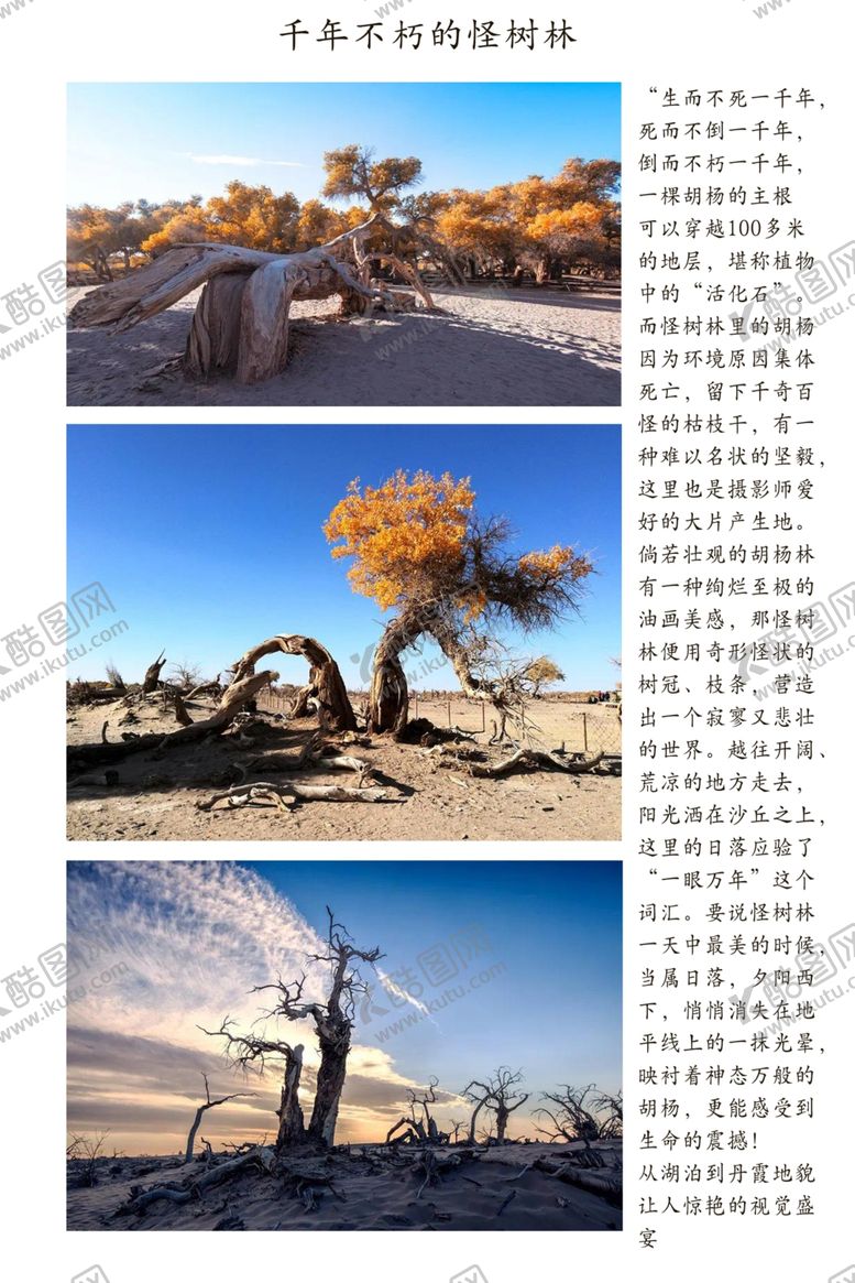 编号：98764505131256558884【酷图网】源文件下载-怪树林