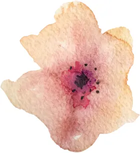 花型设计春季水彩花卉手绘