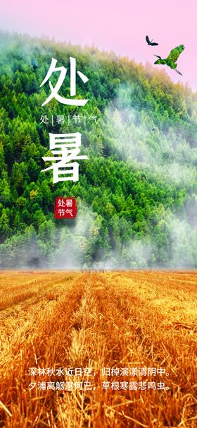 处暑朋友圈设计海报节气海报