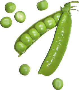 青豆