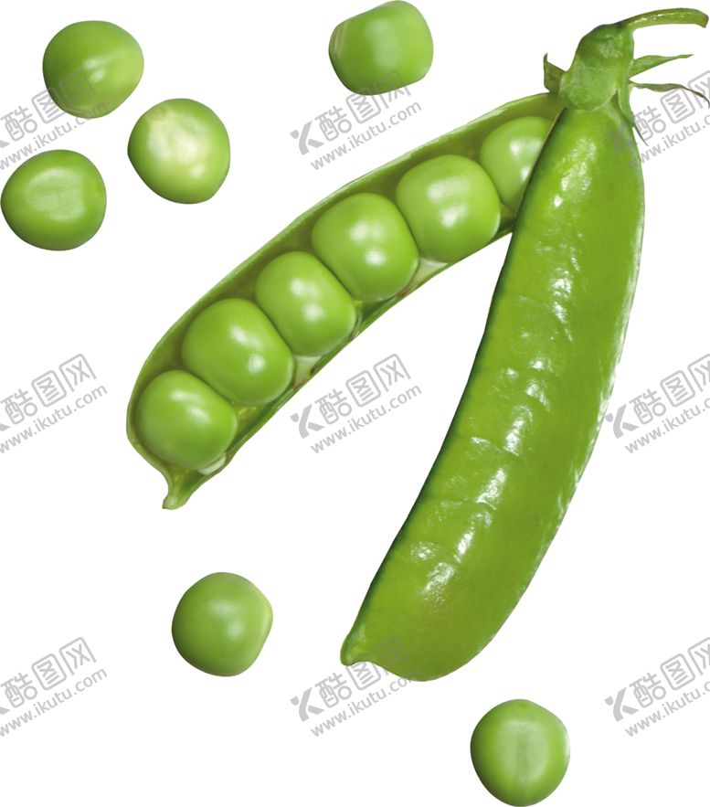 编号：67524905120514454382【酷图网】源文件下载-青豆