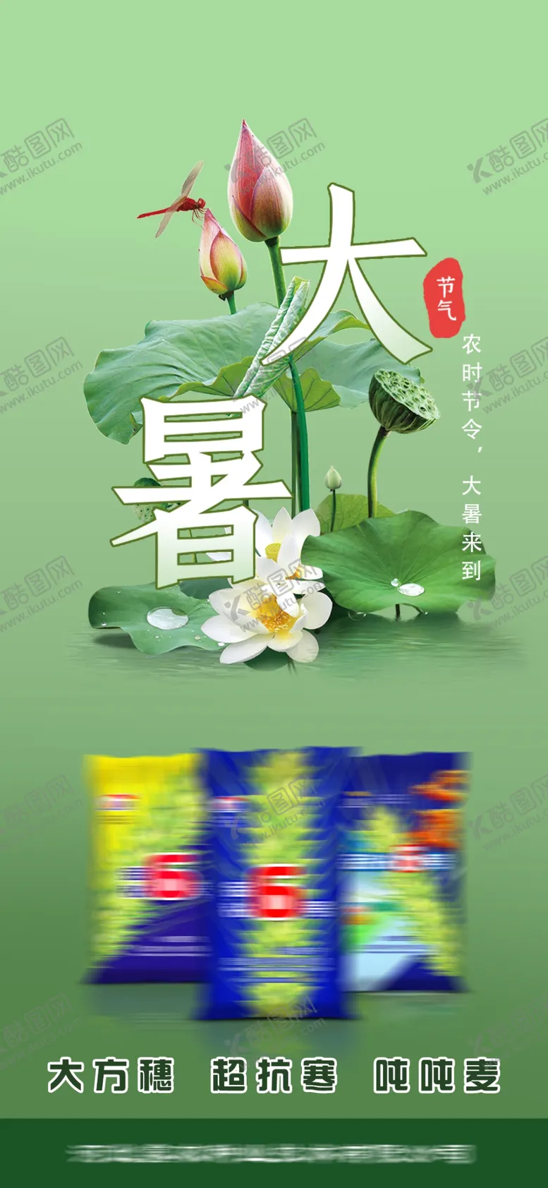 编号：23227901141637402396【酷图网】源文件下载-大暑